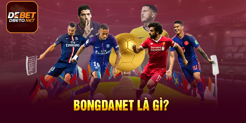 Bongdanet - Nguồn tin tức bóng đá đáng tin cậy